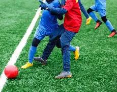 黑土地催生,运动英才,揭秘冰雪冠,bet365官网,中文bet365,bet365最新网址