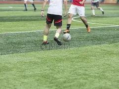 塔神辞世笼,罩赛事,圣诞首周末,bet365官网,中文bet365,bet365最新网址