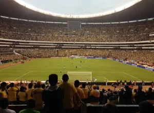 王冰玉,世界大赛积,分与冬奥会,bet365官网,中文bet365,bet365最新网址