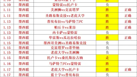 《揭秘职业联赛债务清偿大幕：公示名单公示，审核关竟成准入新挑战》