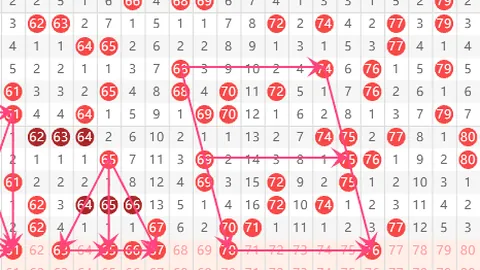 大乐透26023期专家推荐：质合分析前区十码定胆及杀码