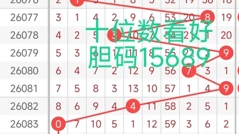 26097期沐雪大乐透号码专家质合分析推荐
