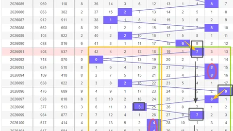 大乐透261071期独胆专家质合分析推荐